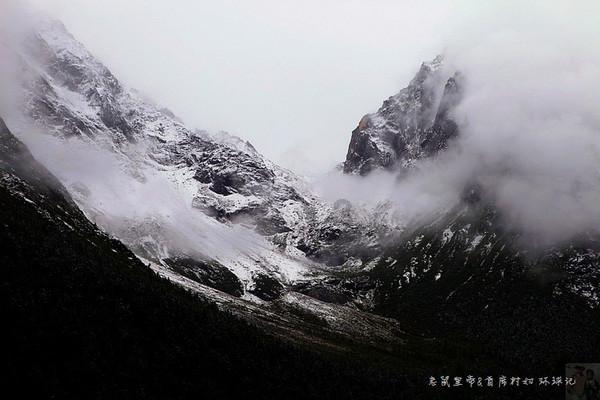 小猫钓鱼正版下载中文版
